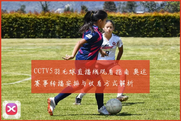 CCTV5羽毛球直播线观看指南 奥运赛事转播安排与收看方式解析