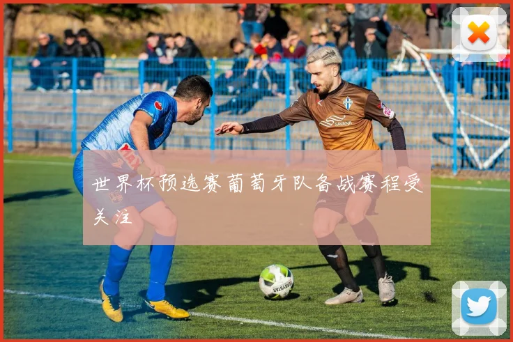 世界杯预选赛葡萄牙队备战赛程受关注