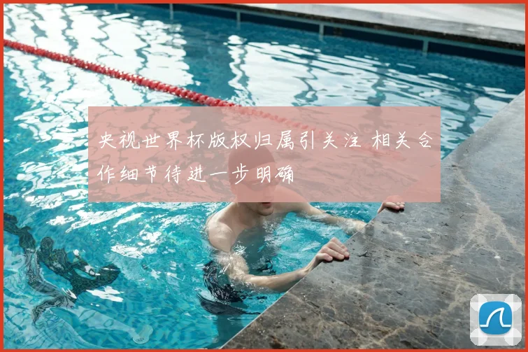 央视世界杯版权归属引关注 相关合作细节待进一步明确