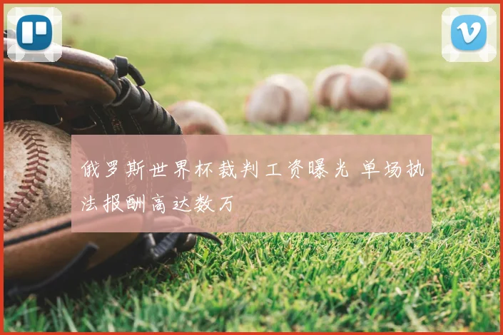 俄罗斯世界杯裁判工资曝光 单场执法报酬高达数万