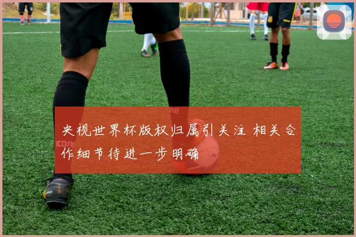 央视世界杯版权归属引关注 相关合作细节待进一步明确