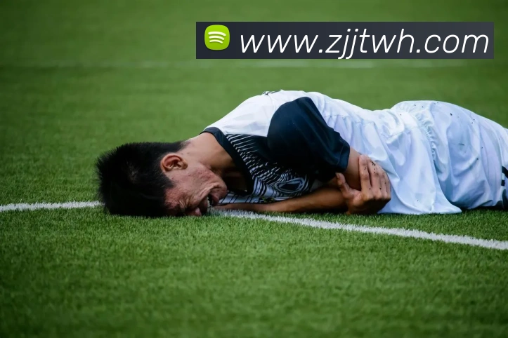 半岛在线体育品牌故事