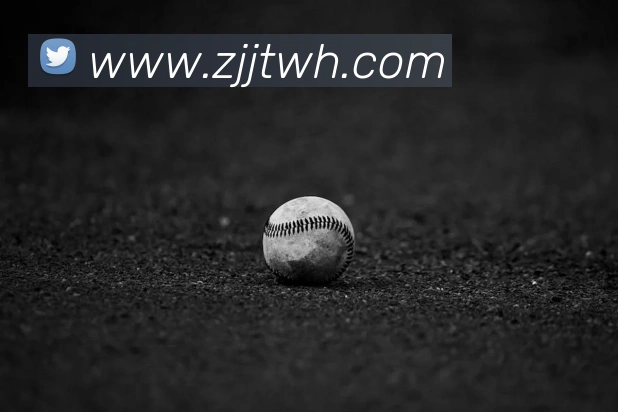 半岛在线体育服务体系